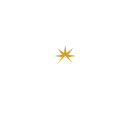 ai development services