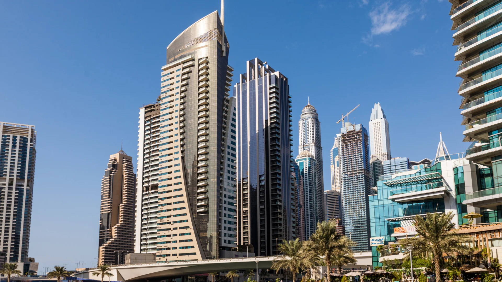 cutom mobile app developers