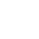 custom app developers