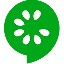 dubai ai application development