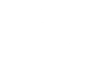 DesignRush digital transformation agency logo